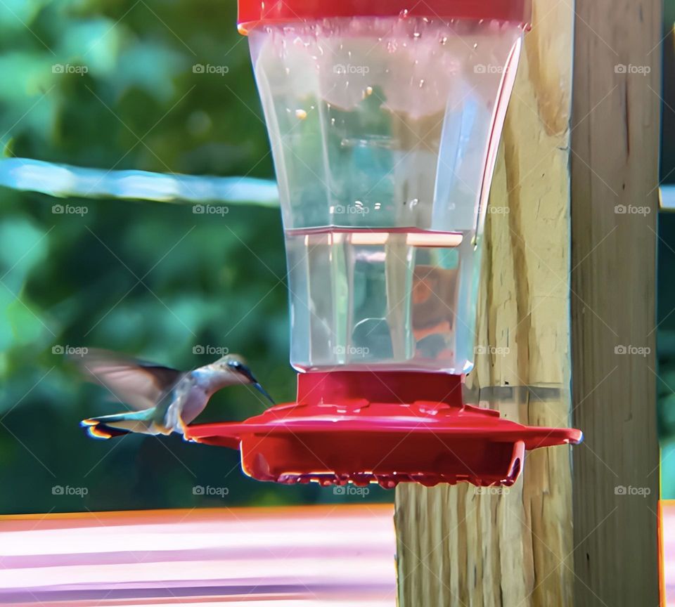 Enjoying her new drink in such a graceful manner.