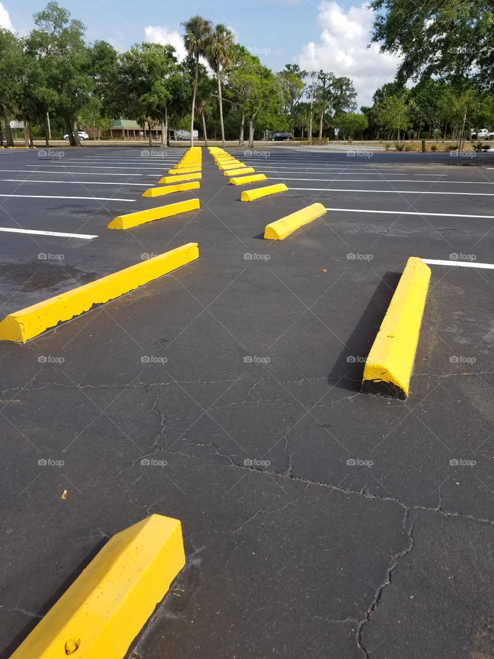 vacant,  yet strangely drawn to this.  weird ol' me and those damn rose colored glasses I have on