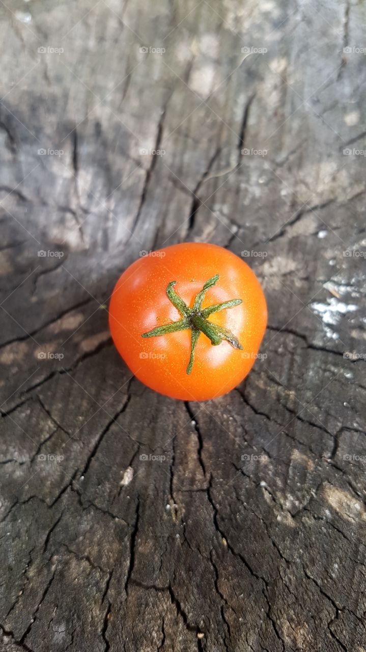 черри - маленькая помидорка