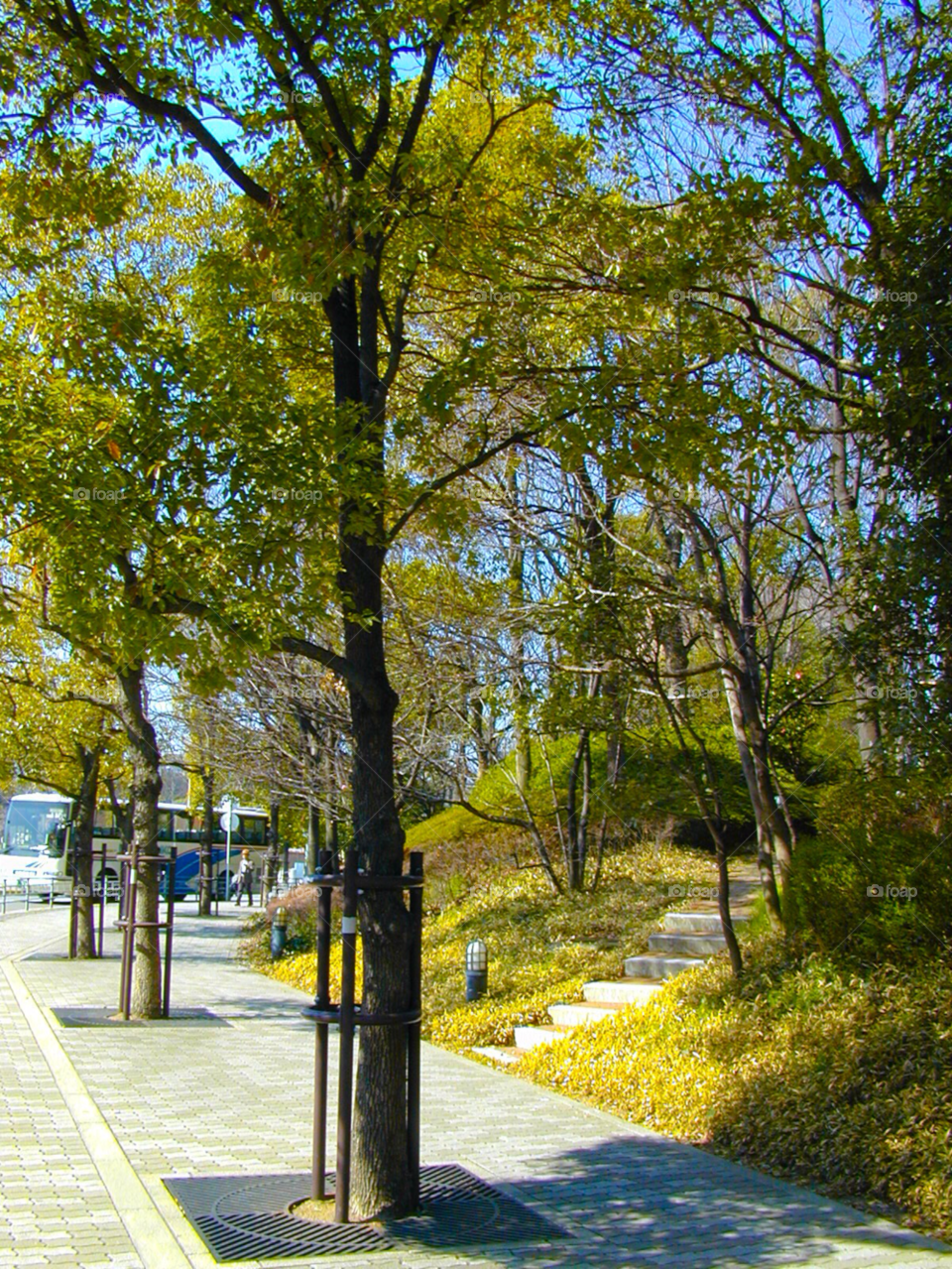 landscape street city nature by cmosphotos