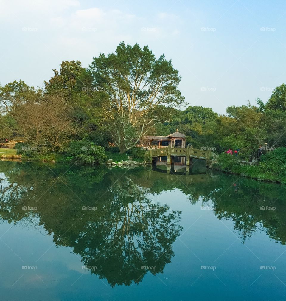 Bridge on the lake