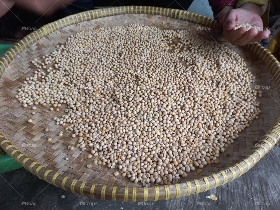 Soybean is a type of legume that is the basic ingredient of many foods from East Asia such as milk, soy sauce, tofu, and tempeh.