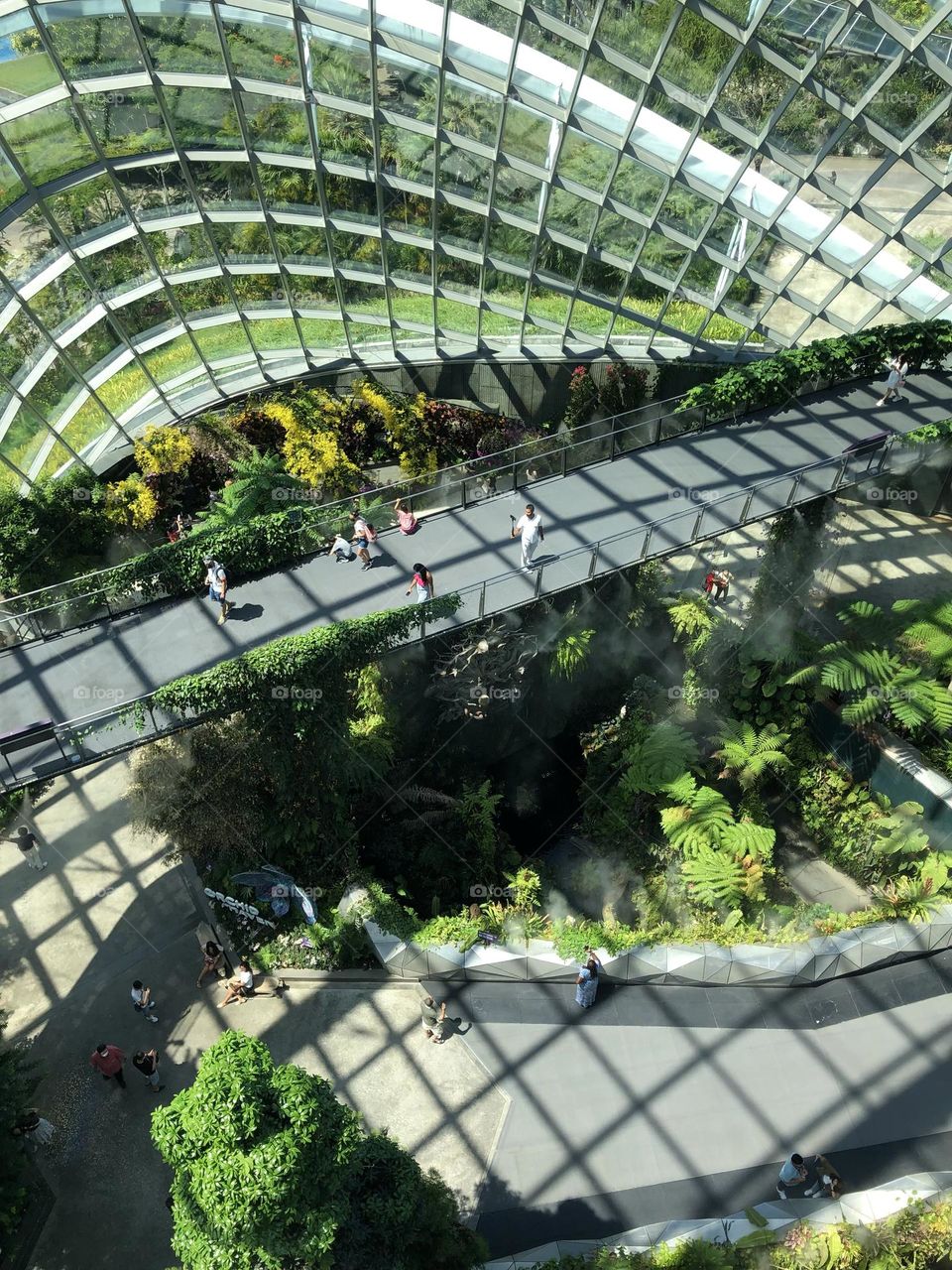 Greenhouse architecture 