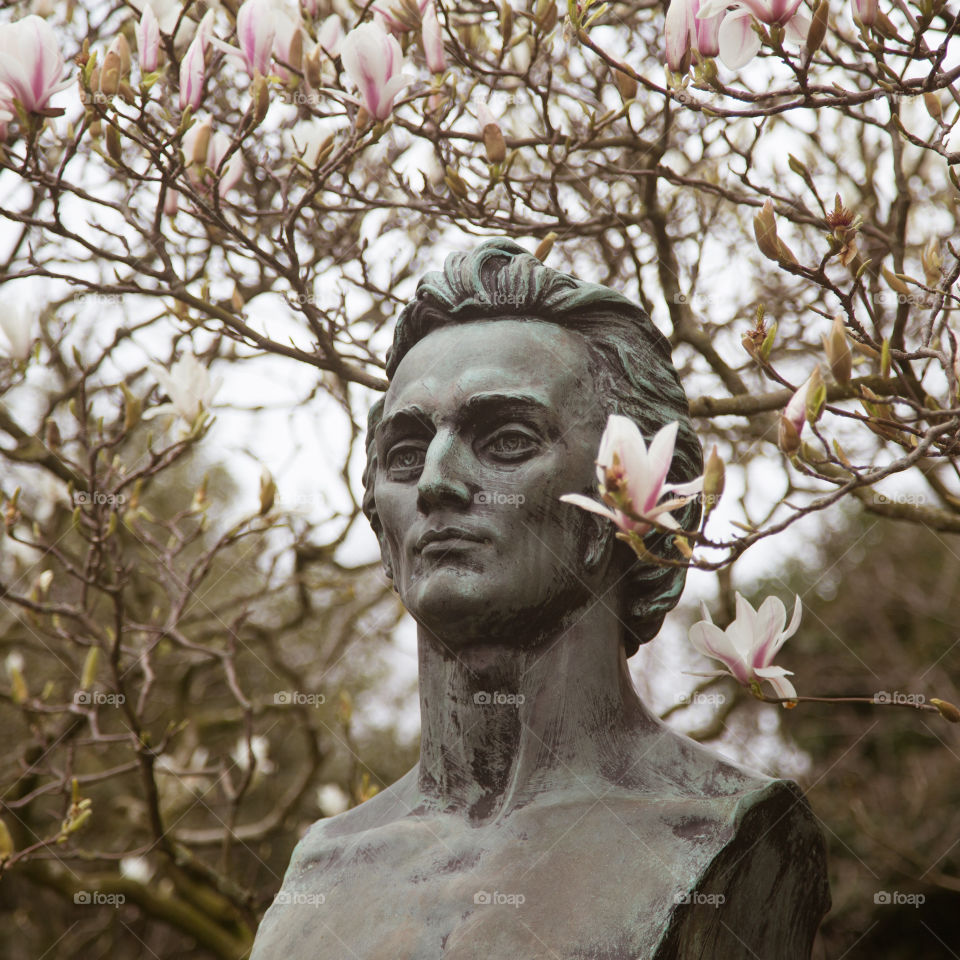 Tree, Portrait, Statue, Art, People