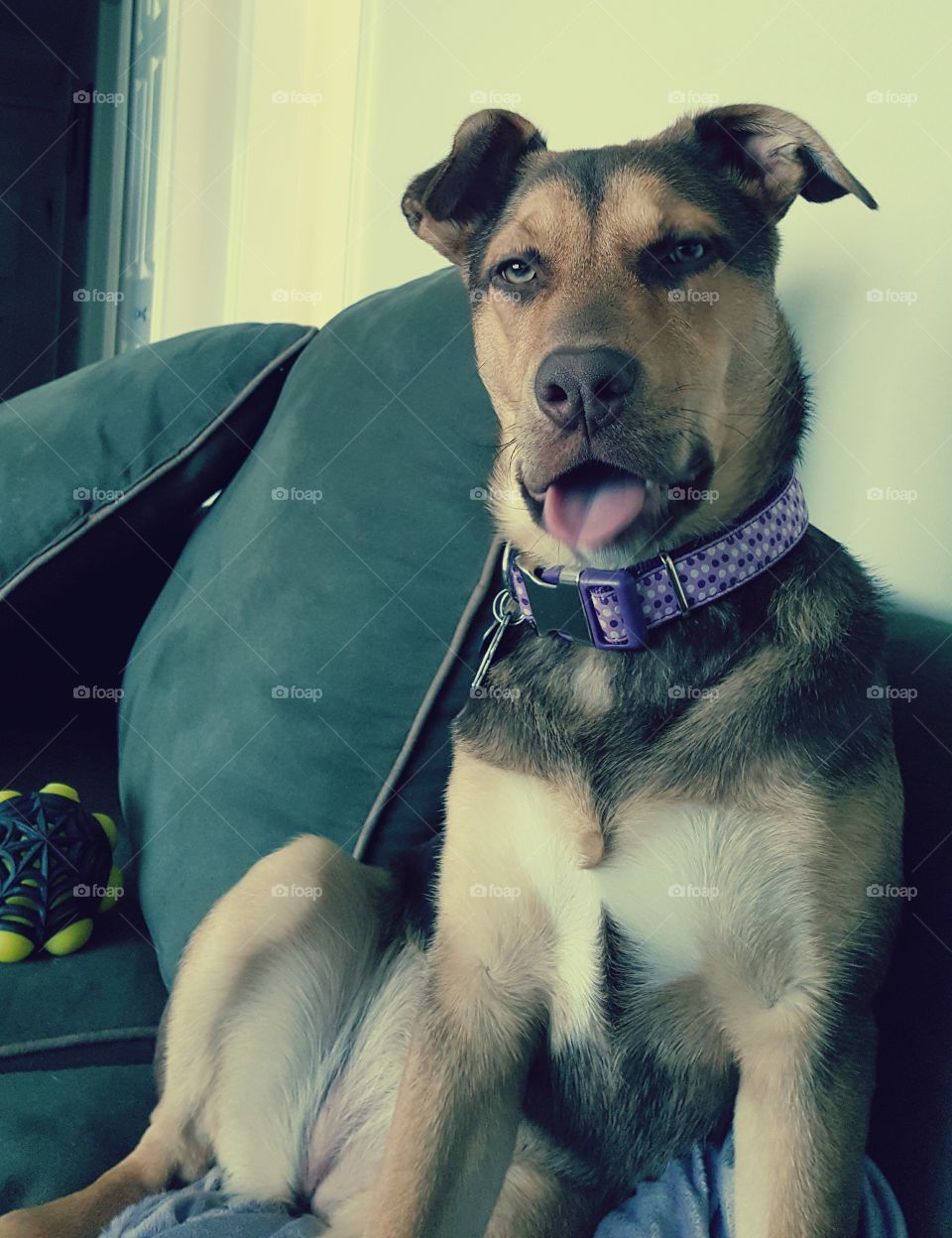 Paris is tired and uninterested