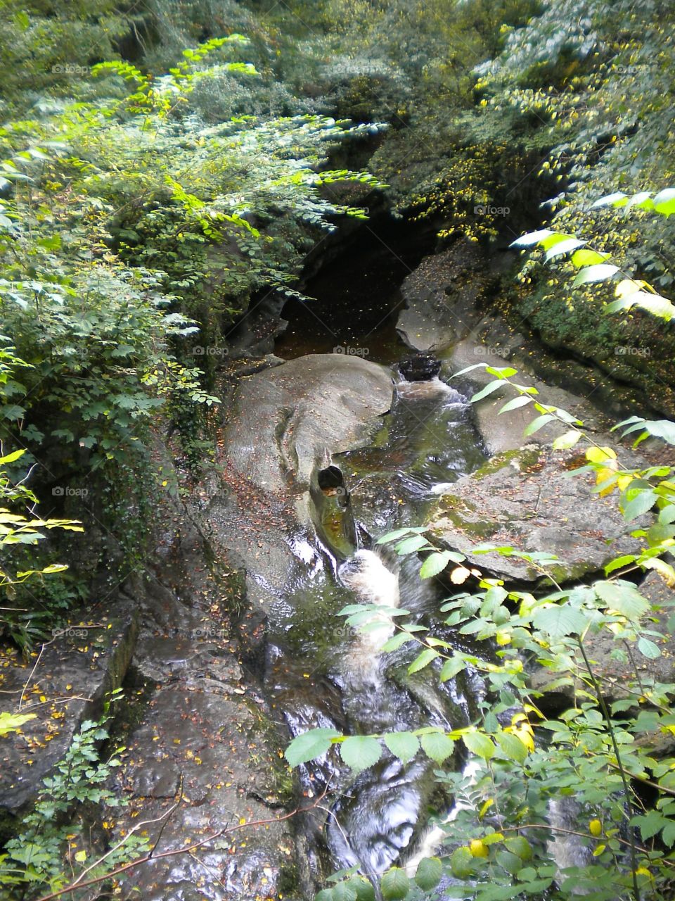 A small Stream. One of my favourite places to visit