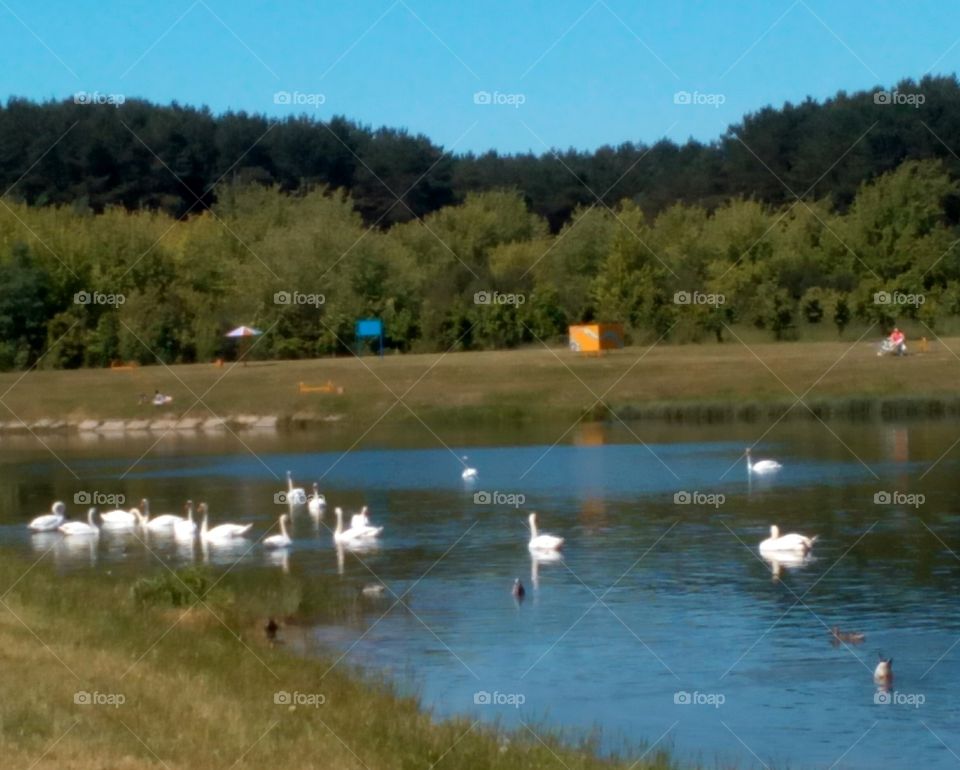 Water, Lake, No Person, Outdoors, River