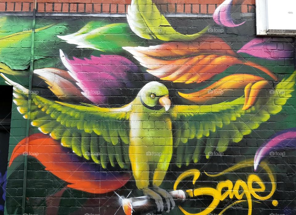 Bird graffiti wall art