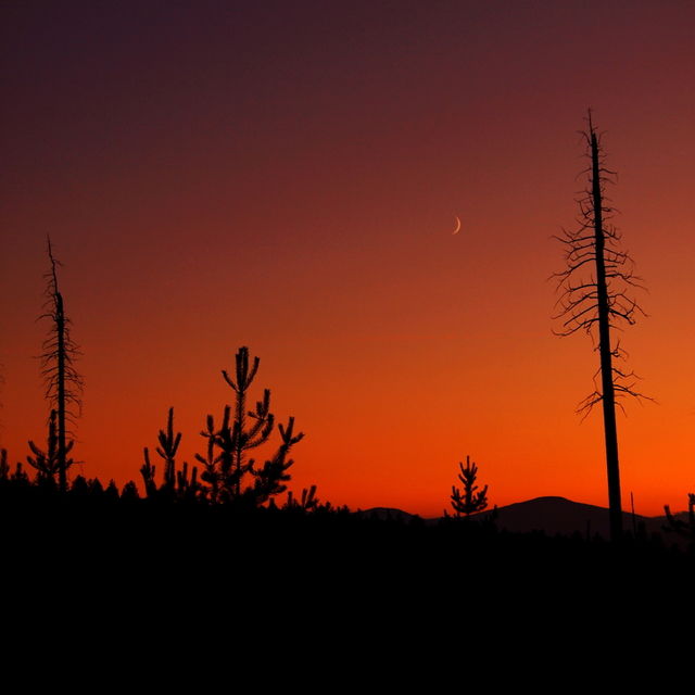 Pine trees silhouetted against a rich dark red and orange sky that is nearly dark at twilight in Central Oregon on a summer day. 