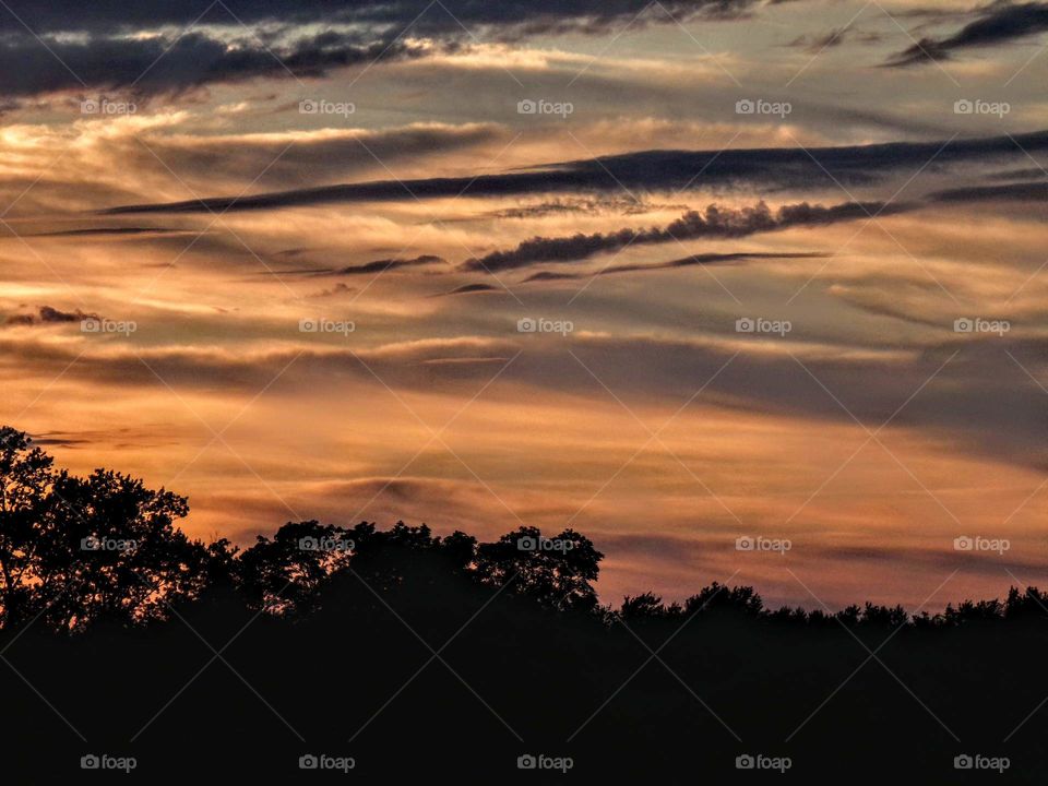 wisps running this way and that