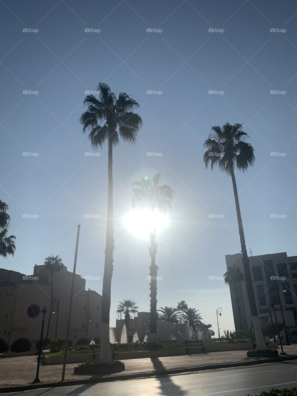 A sunny morning in autumn