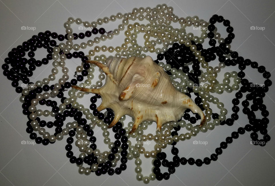 amazing shell and black and white pearls, white background. natural details and jewelry