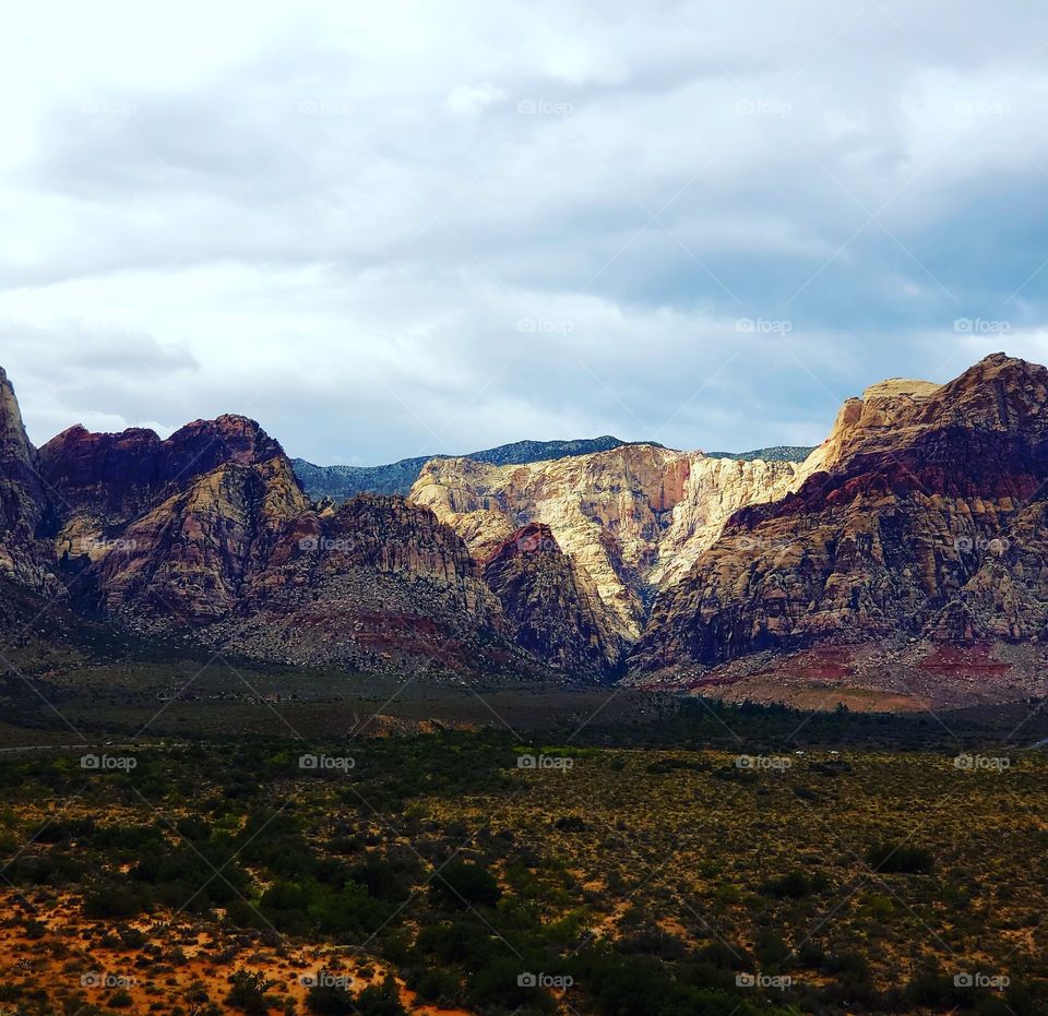 Red Rock Beauty