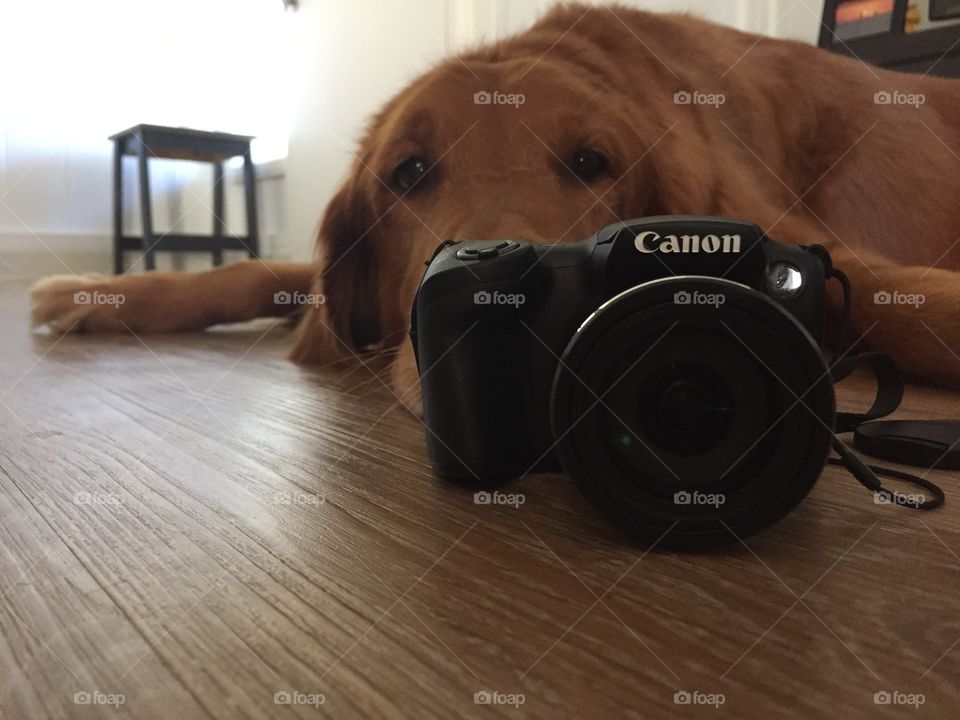 Phodographer in action 