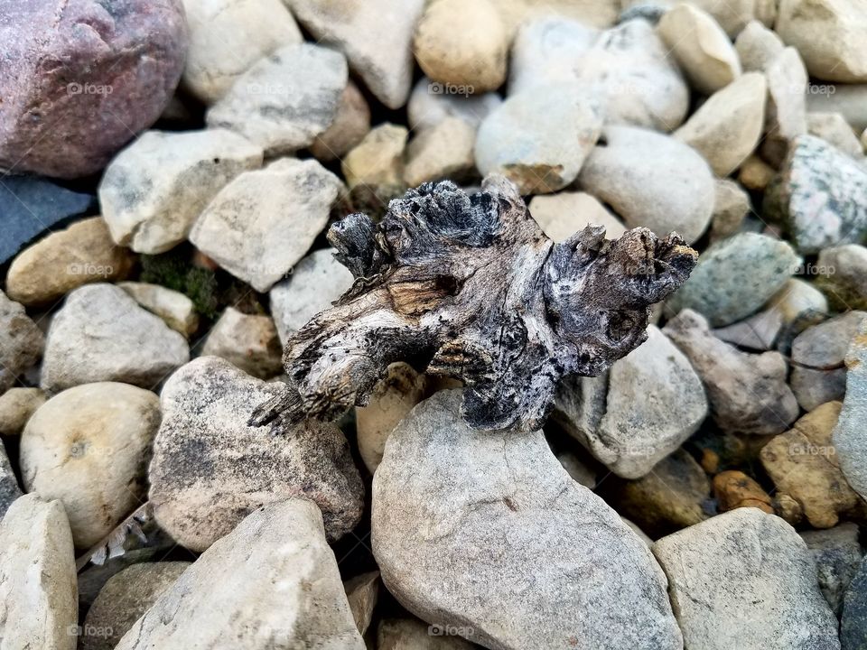 What can we Really see in a Rock