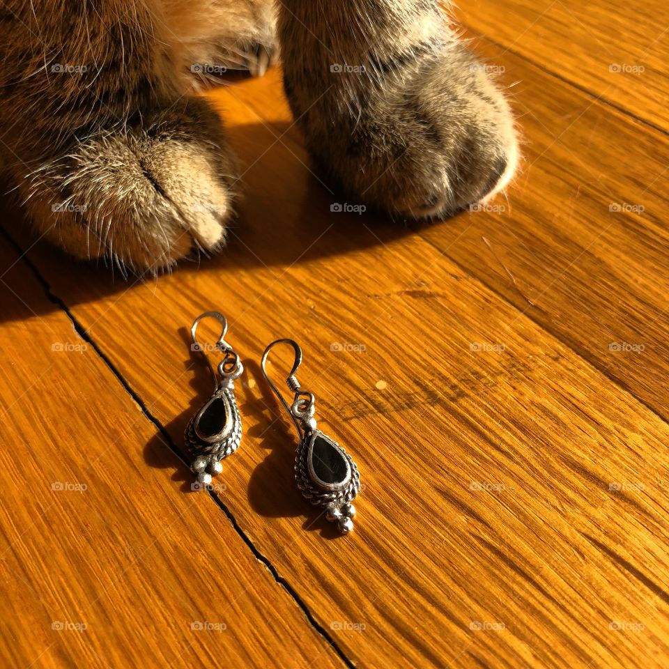 Cat earrings gift