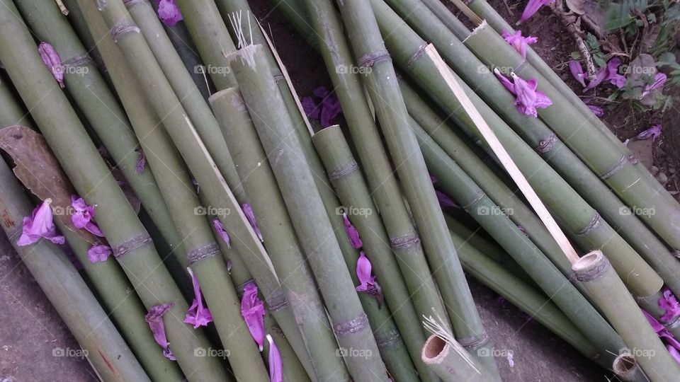 criatividade é tudo