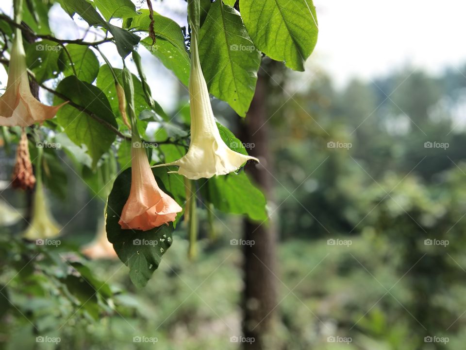 keindahan dapat di lihat dengan mata dan dirasakan dengan hati