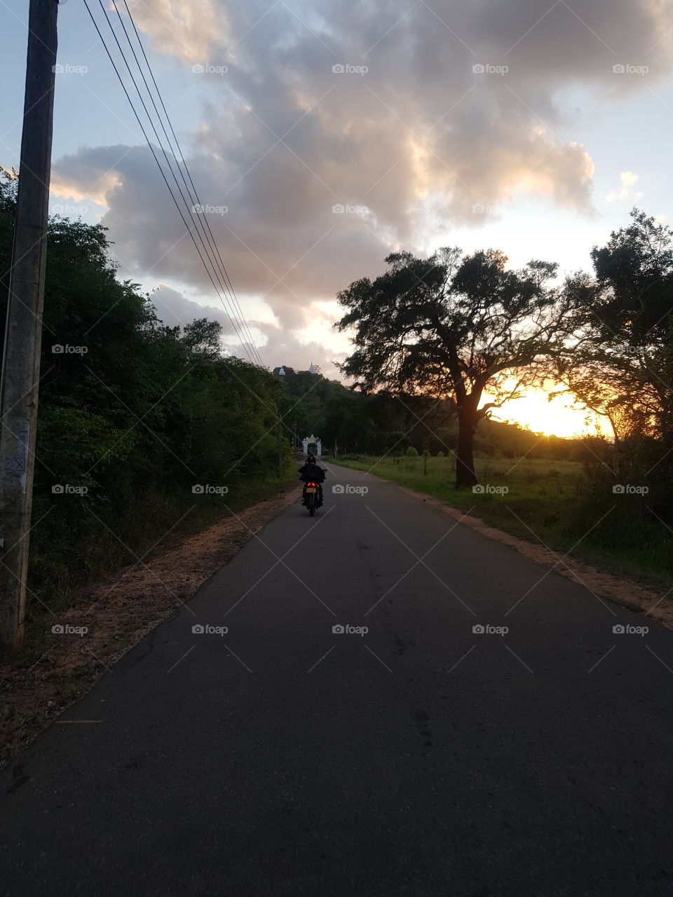 On the way in the evening