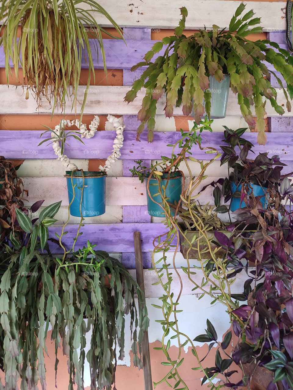 Wall art with pot plants