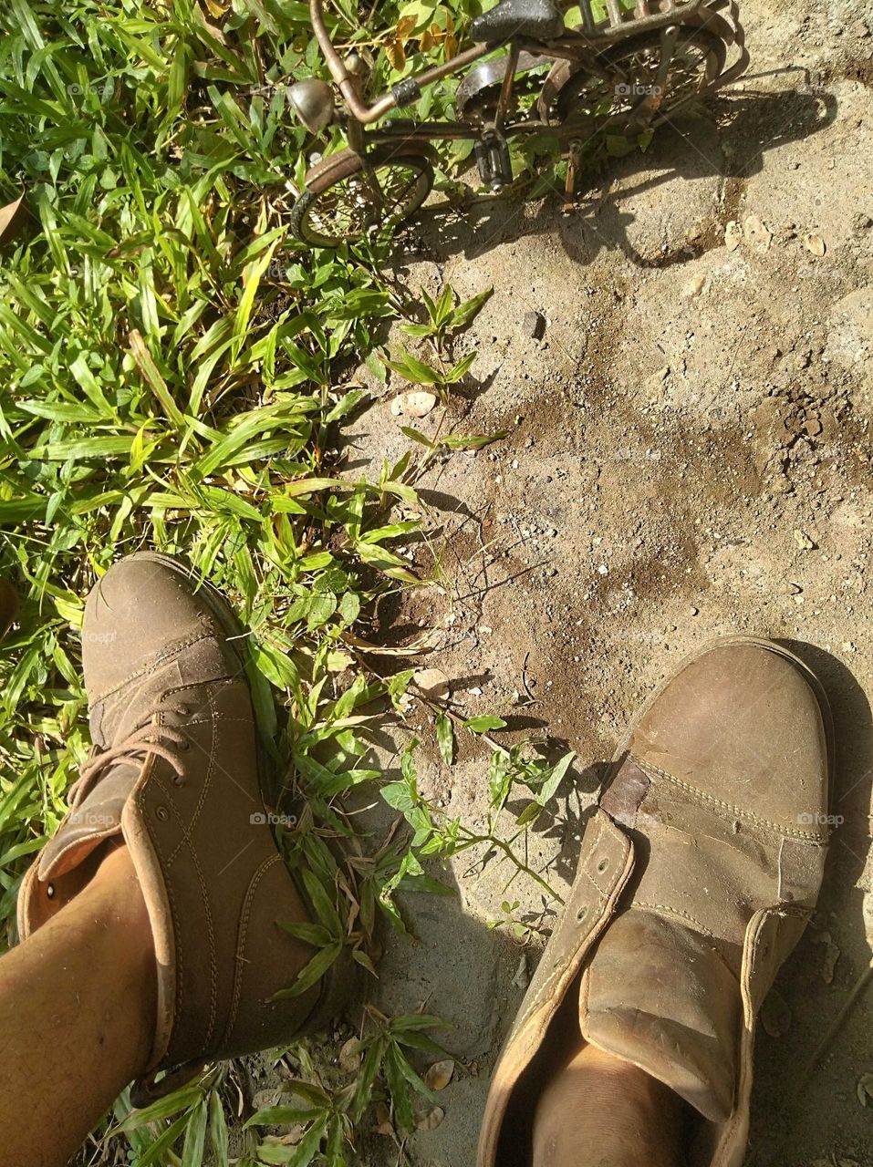 In the world of liliput