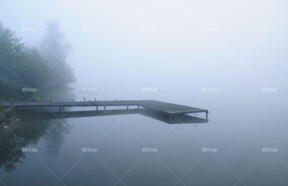 foggy morning in polish countryside