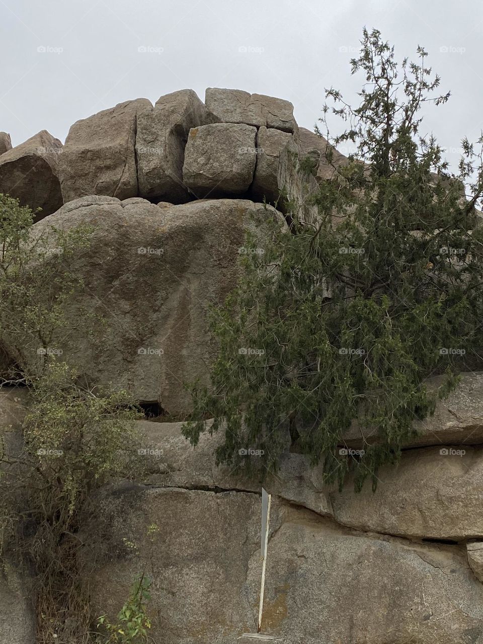 Amazing trip with my beautiful family in albaha 