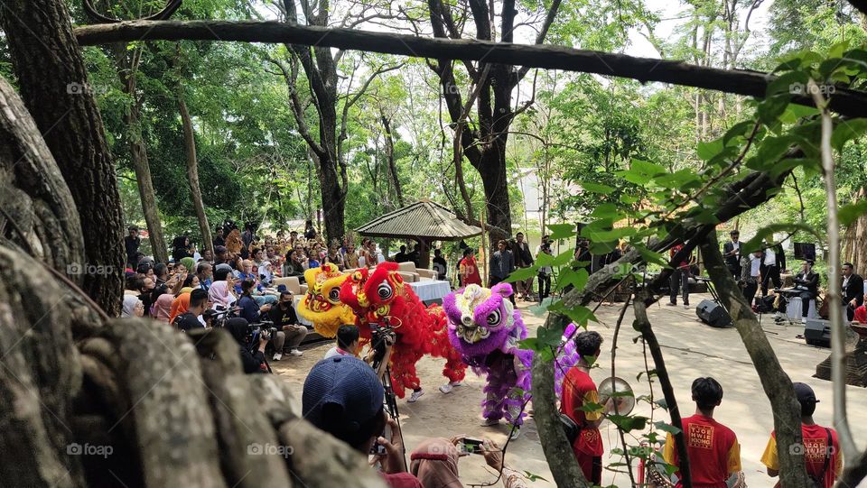 penampilan barongsai