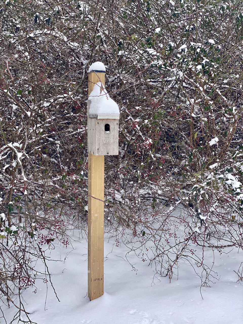 A birdhouse covered in snow during a snowstorm 