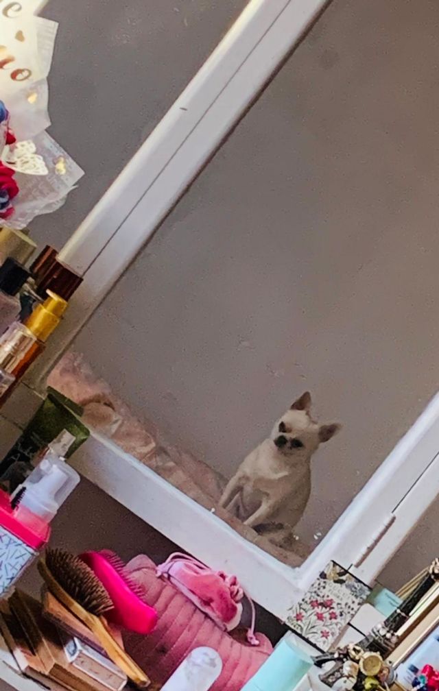 el