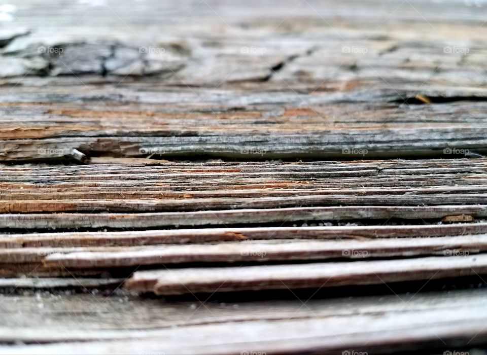 Wood grain on a pier