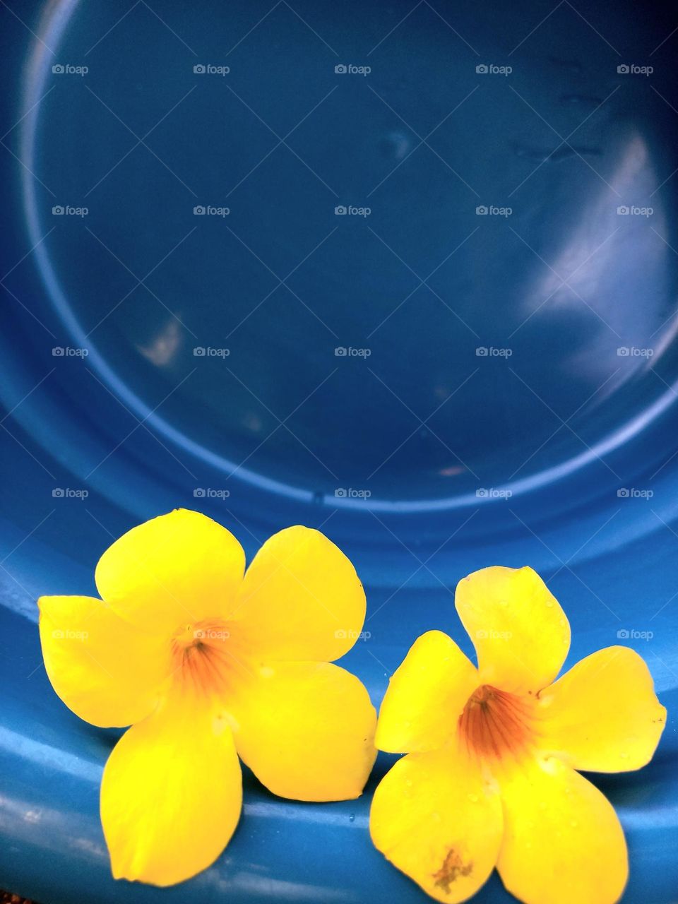 The sun in the immensity of the Blue sky