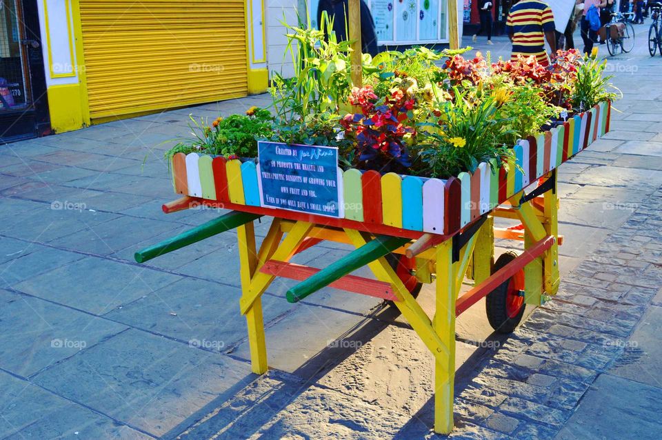 garden in the city centre with yellow architecture  elements