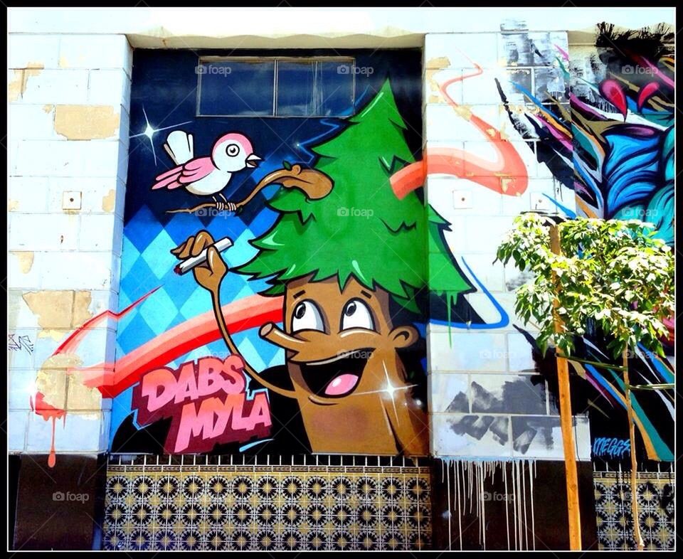 Dabs Mola Mural