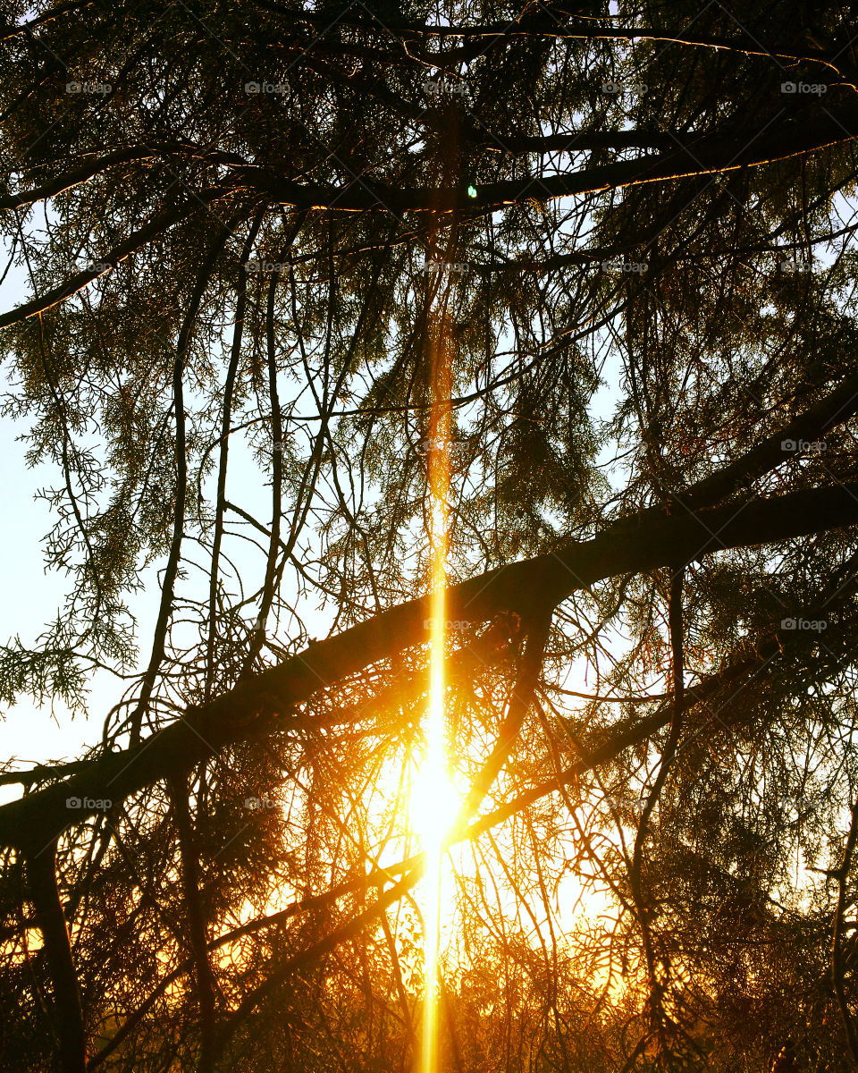 #Entardecer belíssimo em #Jundiaí!
O #sol em terras caipiras sempre é mais bonito.
☀️
#natureza #sun #paisagem #landscapes #inspiração 