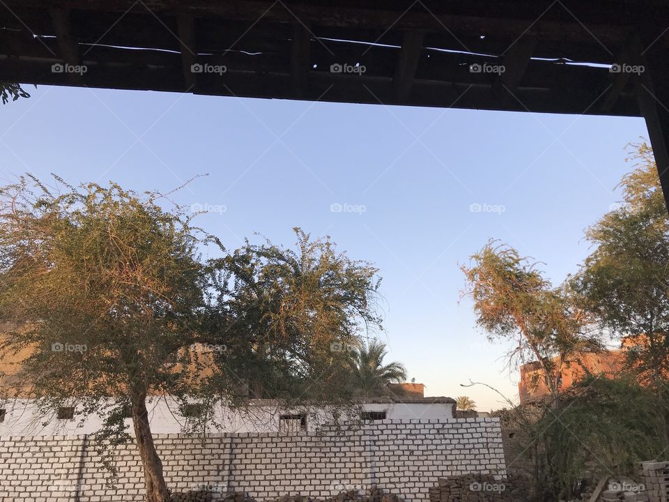 In front of the house