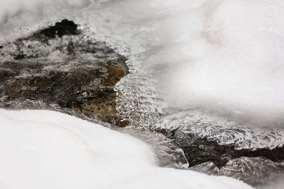 Close-up of a stream