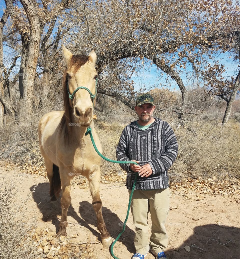 A Horse and A Man in the Woods