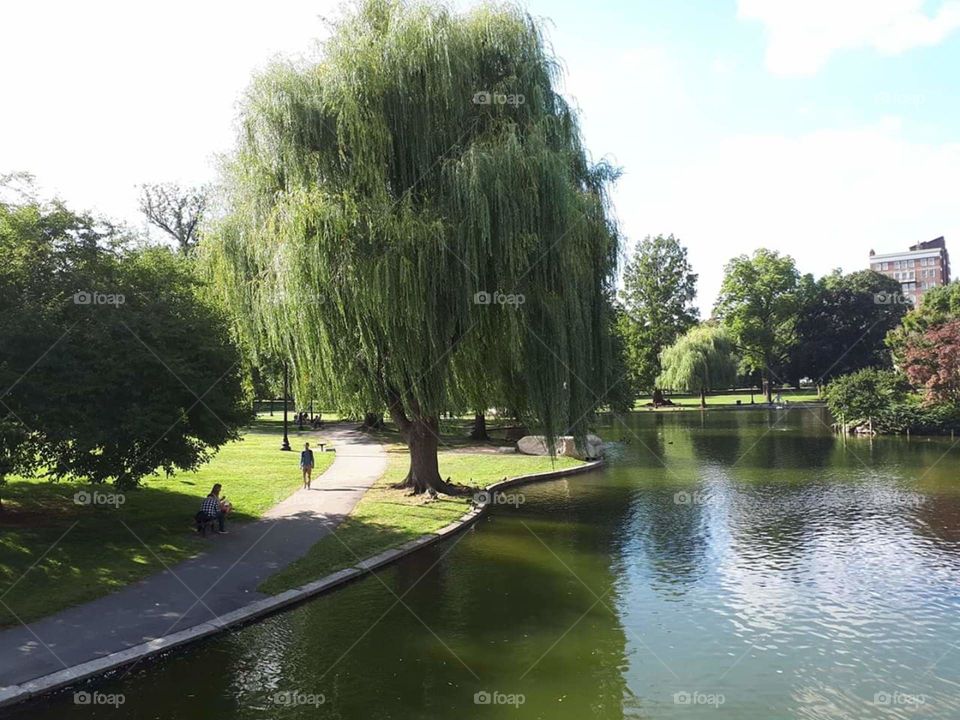 Boston common