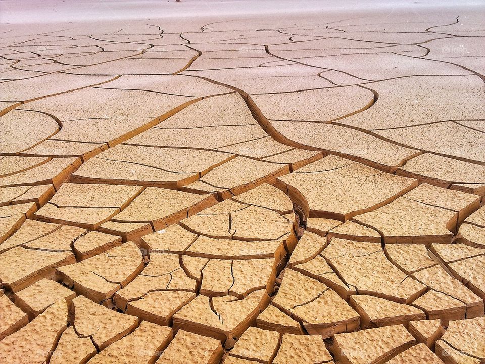Land with dry and cracked ground