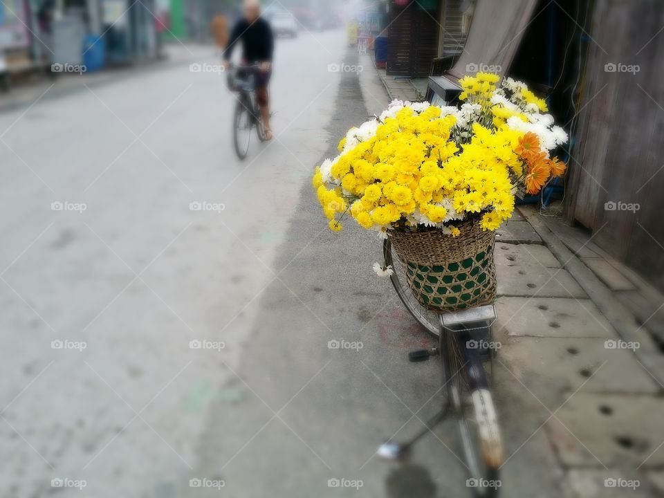 Beauty yellow flower.. Yellow flower on bicycle in winter Pai Thailand.