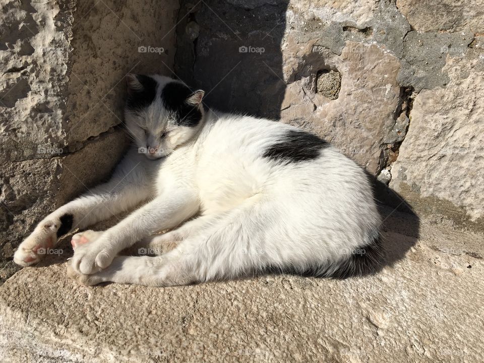 Chilling in the shadow