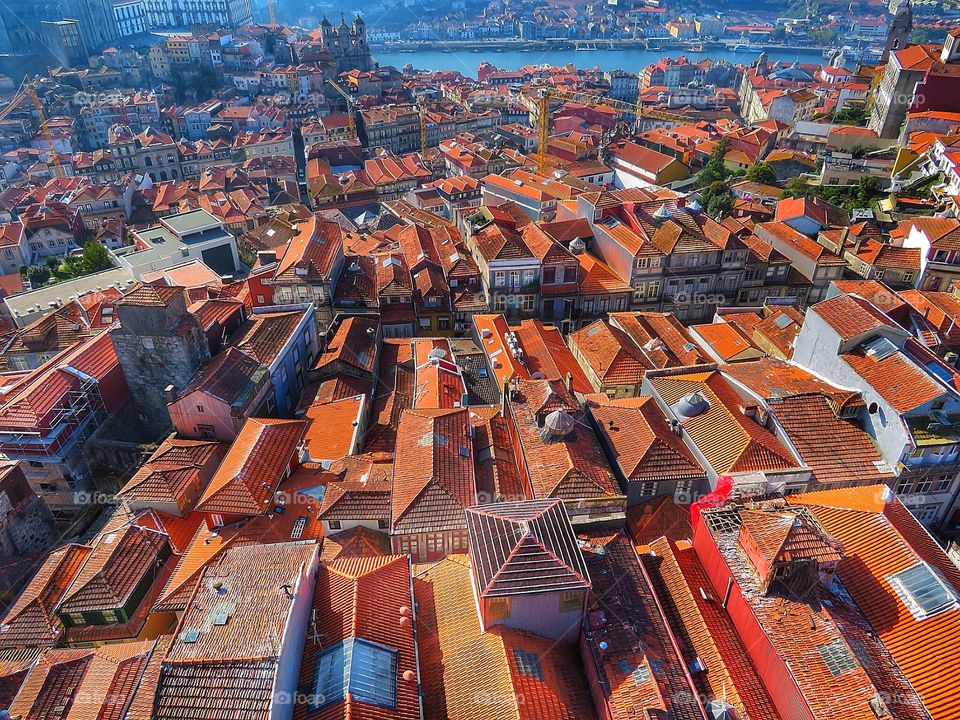 Porto rooftops