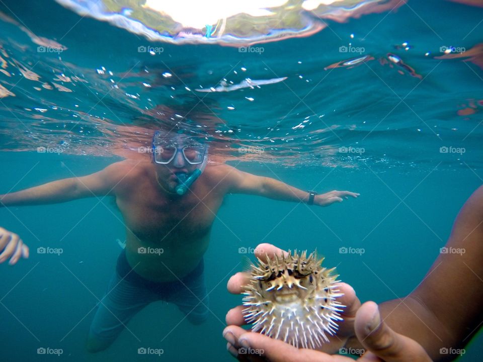 Man with snorkel and mask holding puffer fish