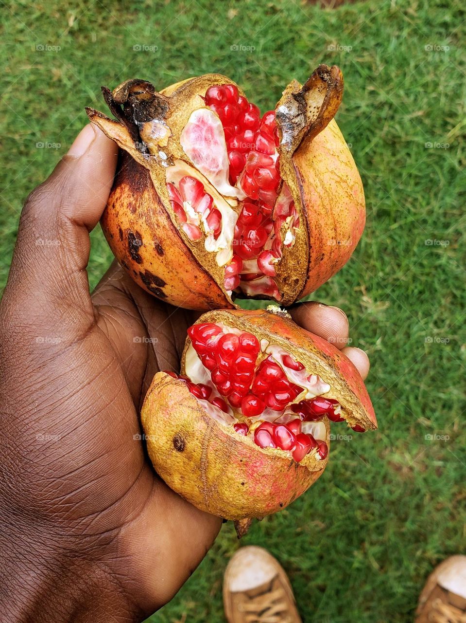 Pomegranates on my hand.

June 16, 2023
07:50am