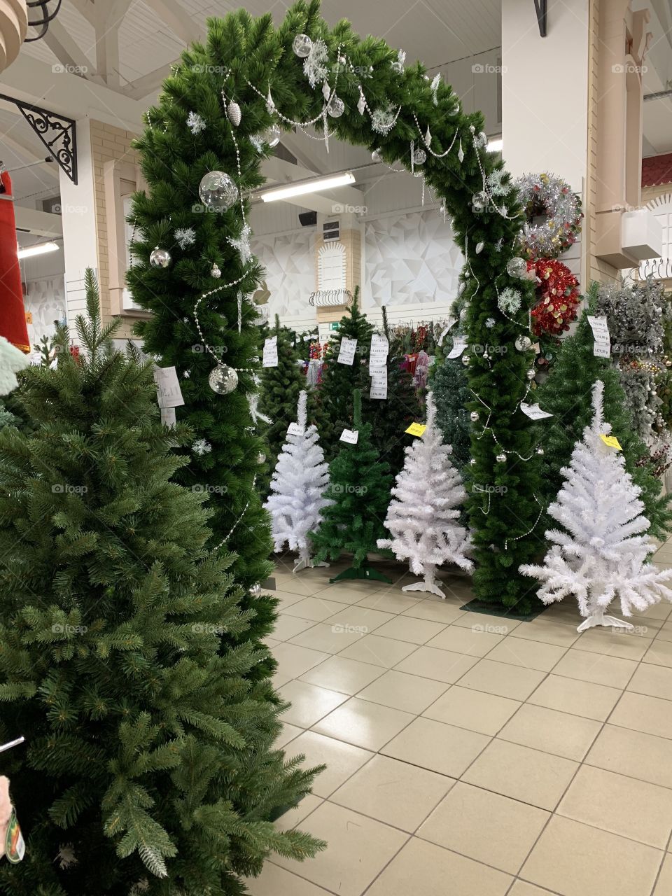 Christmas tree sale