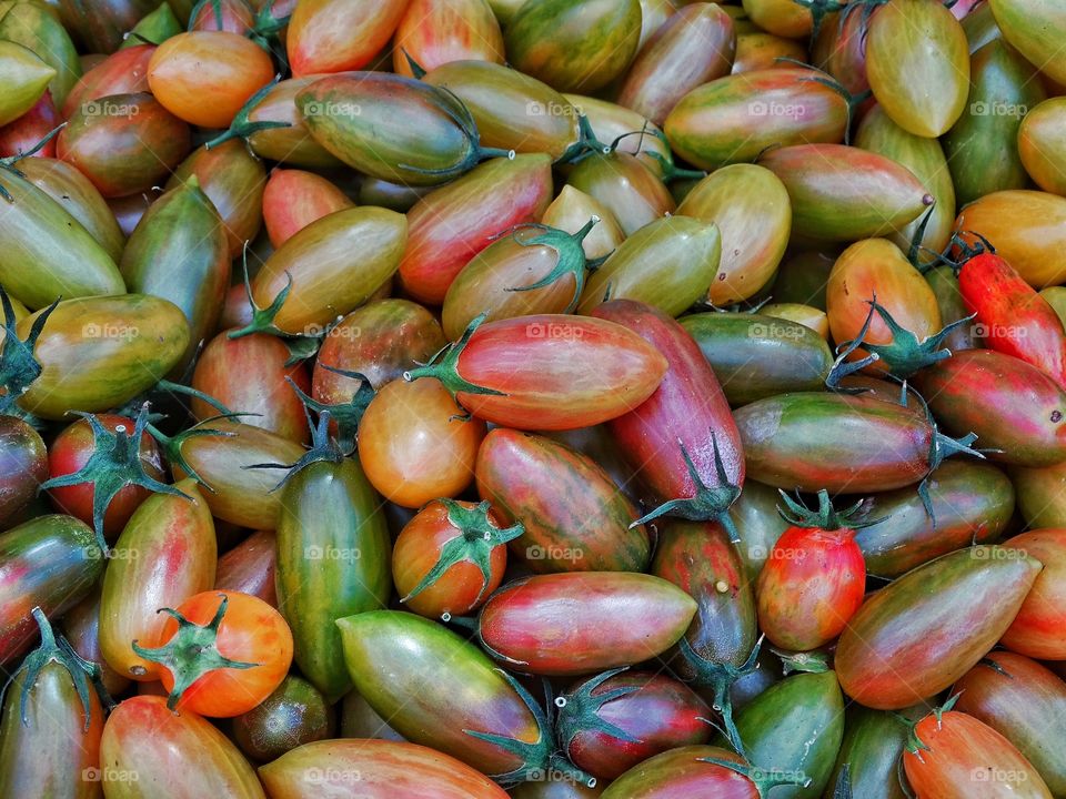 Colorful Tomatoes. Organic Heirloom Tomatoes
