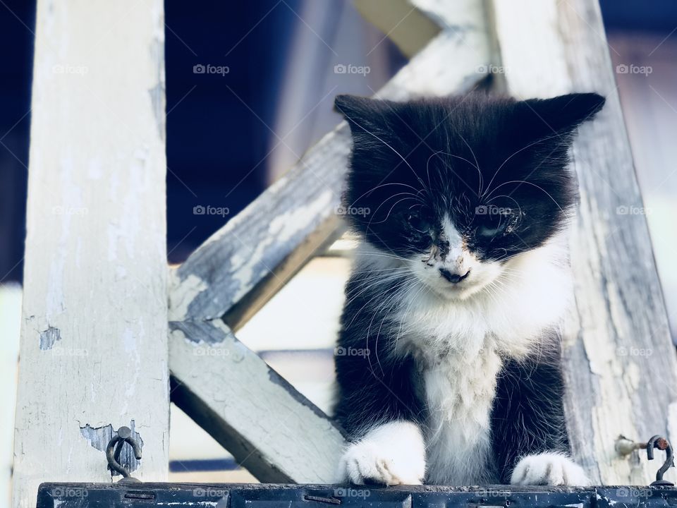 I’m Patiently waiting here 