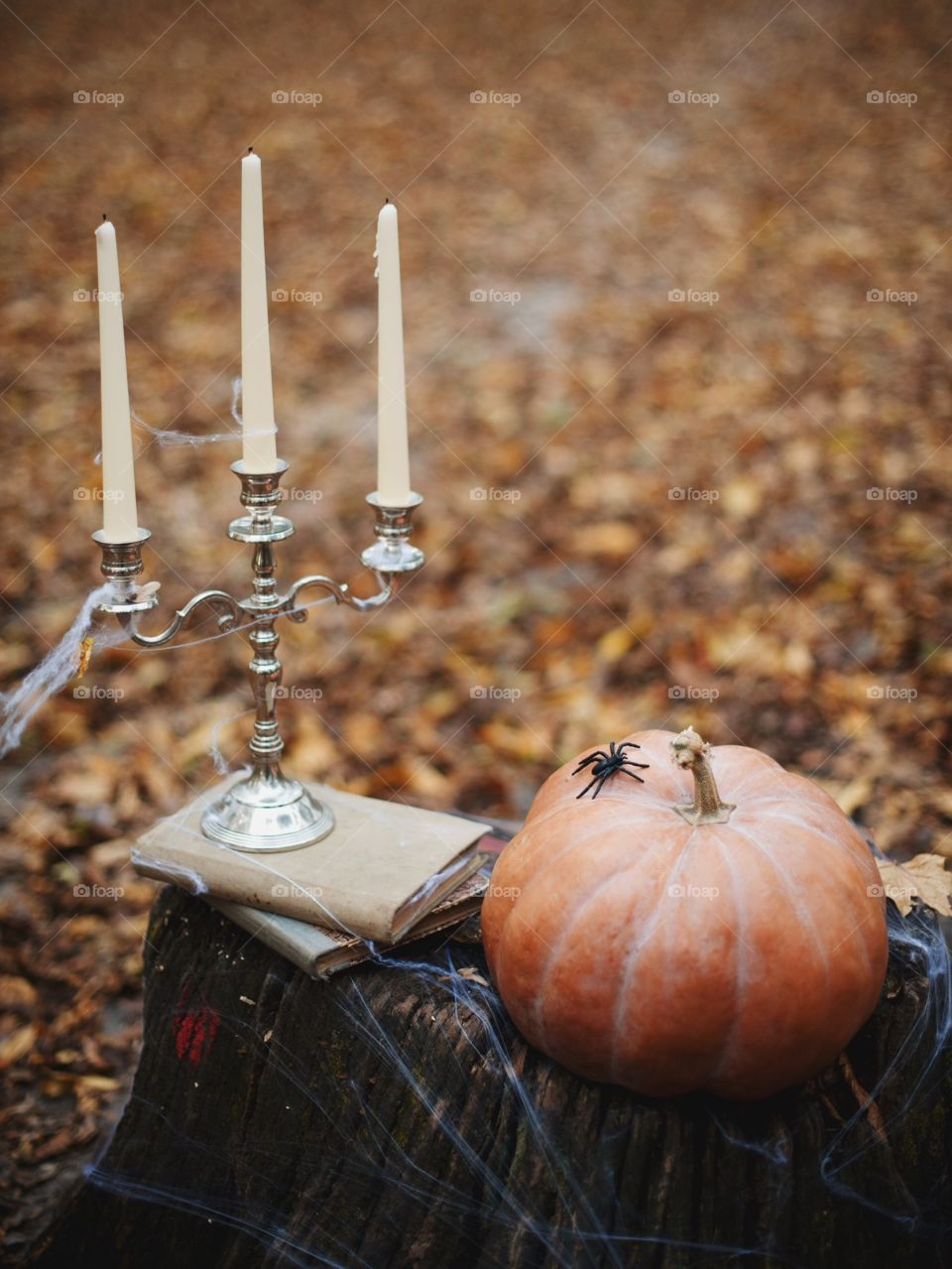 forest, night, holiday, decorations, snacks, fall, orange, black, mystery, Halloween, dark, glowing, candy, flashlight, ginger, fun, cute, fog, gloomy, burning, candle, flame, Jack, face, smile, autumn, symbol, skeleton, dark, above, scary, good, funny, background, lonely, sadness, darkness, magic, event, bat, Ghost, concept, trick, emblem, Phantom, pumpkin face, pumpkin, October, September, werewolf, mage, terrible, grim, supernatural, treat, trick or treat, horrible, wizard, Jack-lantern