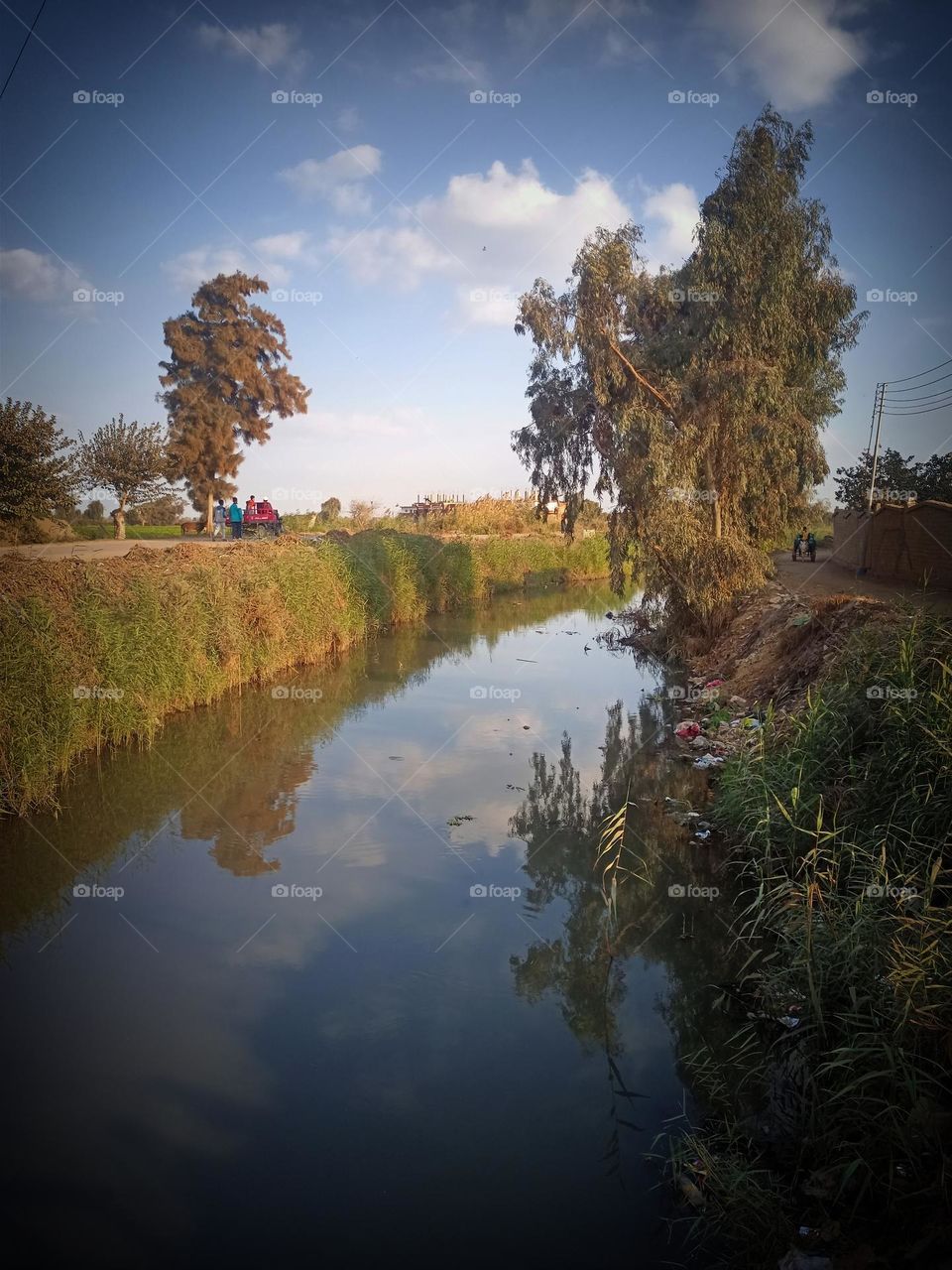 natural, wow , water between grass and trees look very fantastic π shadow of sky in the water look wonderful ππ₯β€οΈπβ€οΈ